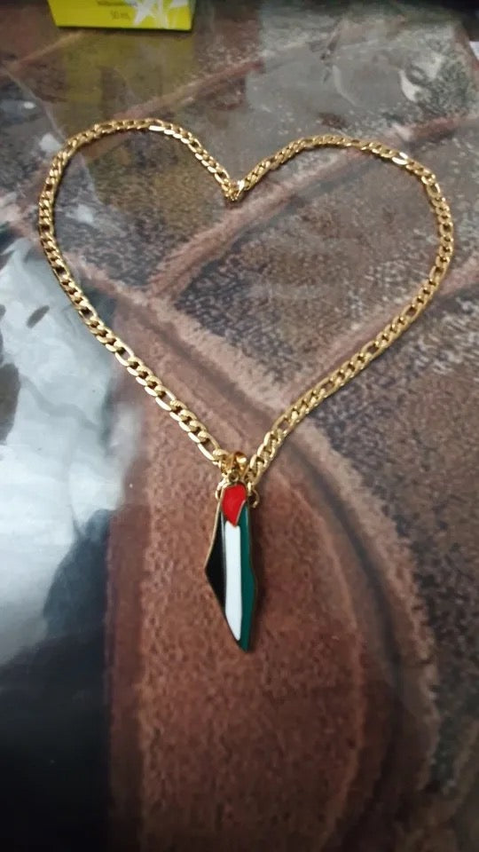 Thick chain Palestine map in silver