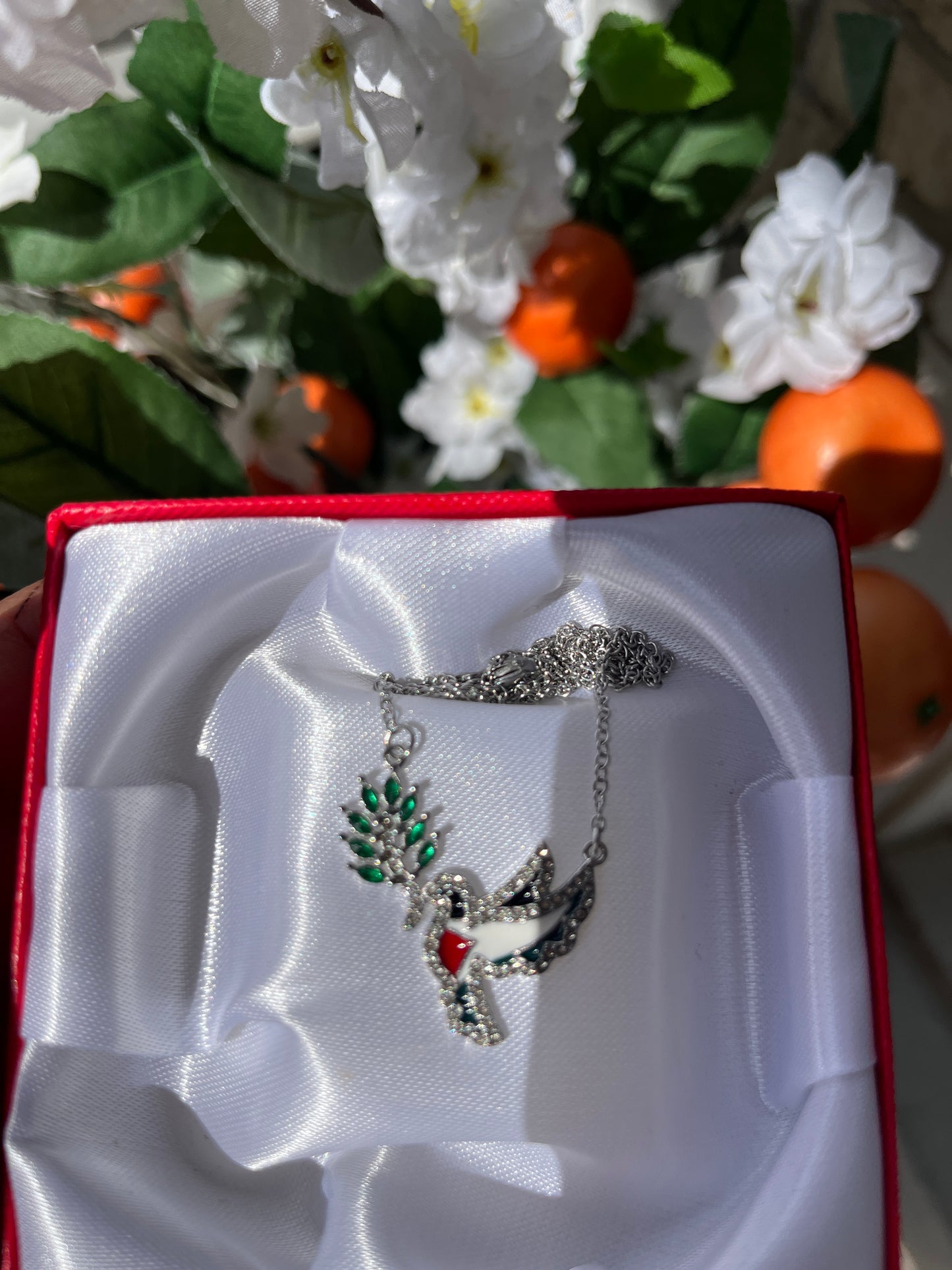 Freedom dove for Palestine