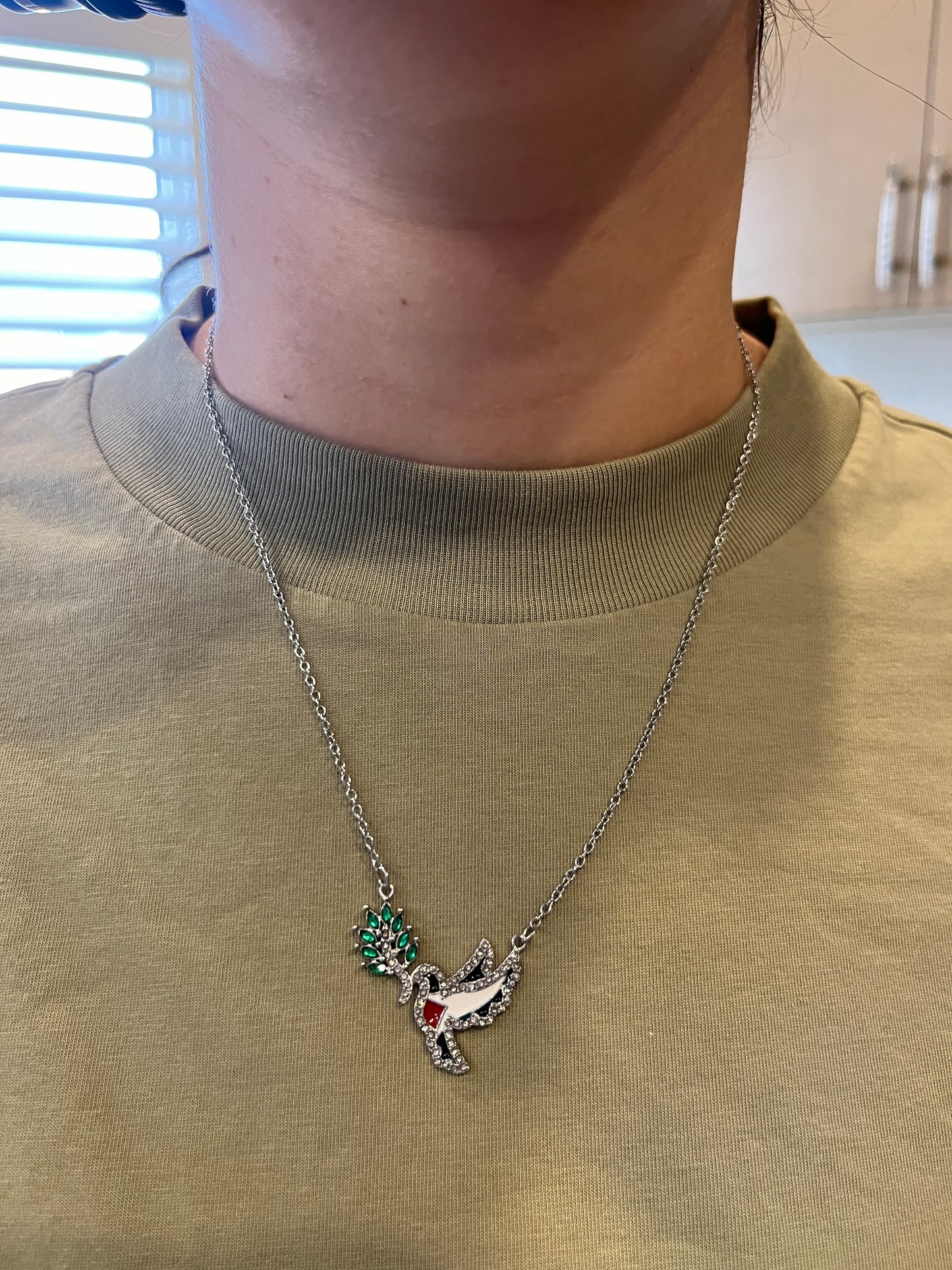 Freedom dove for Palestine