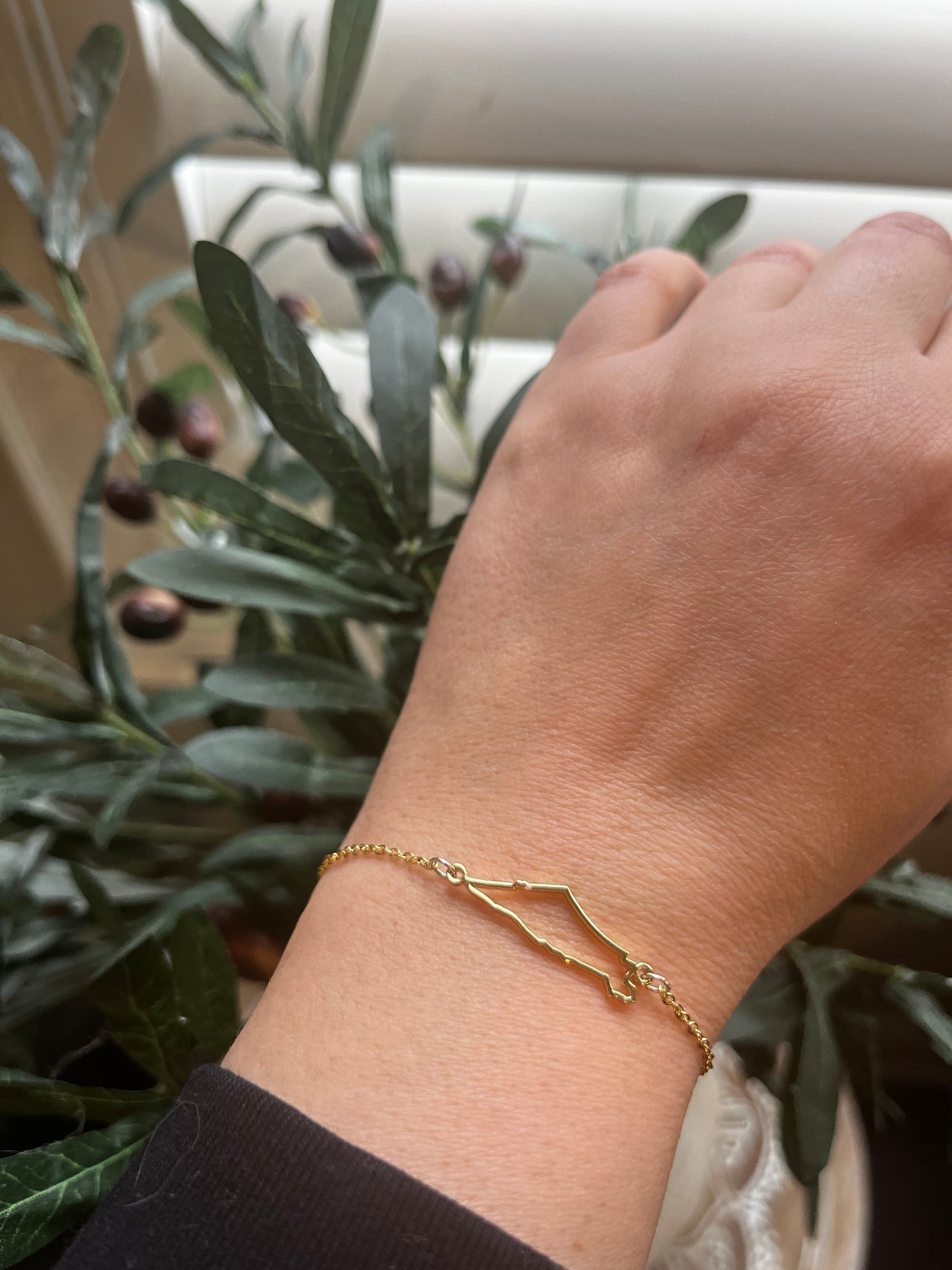 Palestine map bracelet